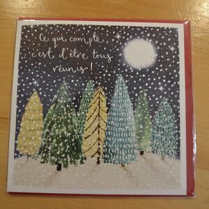 FRENCH Christmas cards bundle, 8 Cartes du temps des fêtes en français